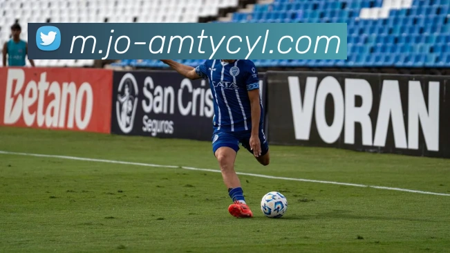 太阳城平台服务体系